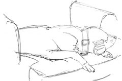 tumblr_n9wutwP03g1r03lr4o2_1280