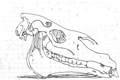 tumblr_m9wbuqB3Wo1r03lr4o5_1280